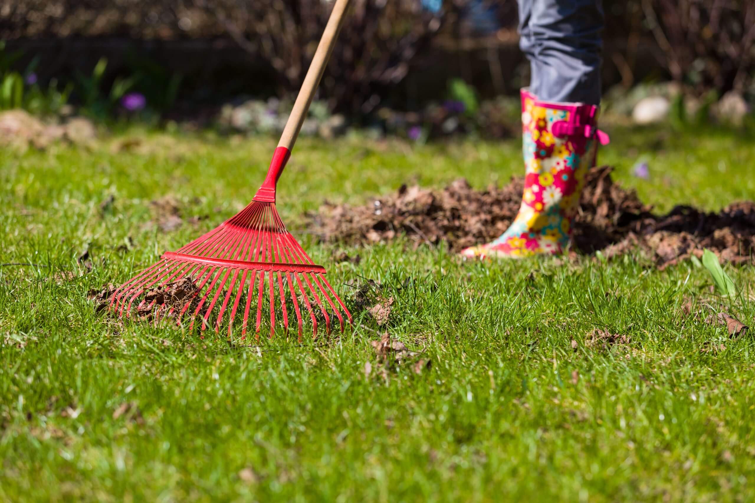 Preparing Your Lawn for Spring