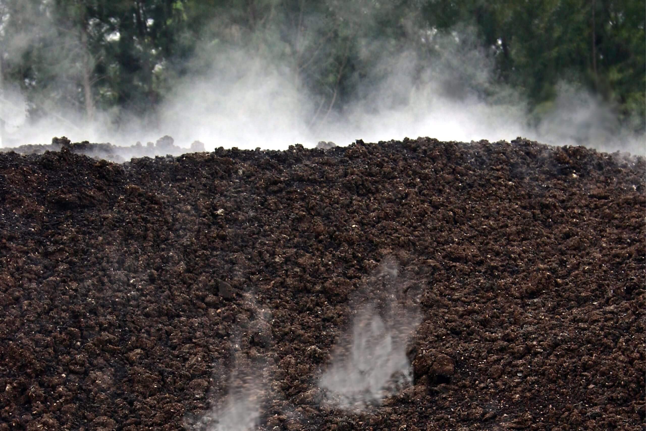 Compost Odors