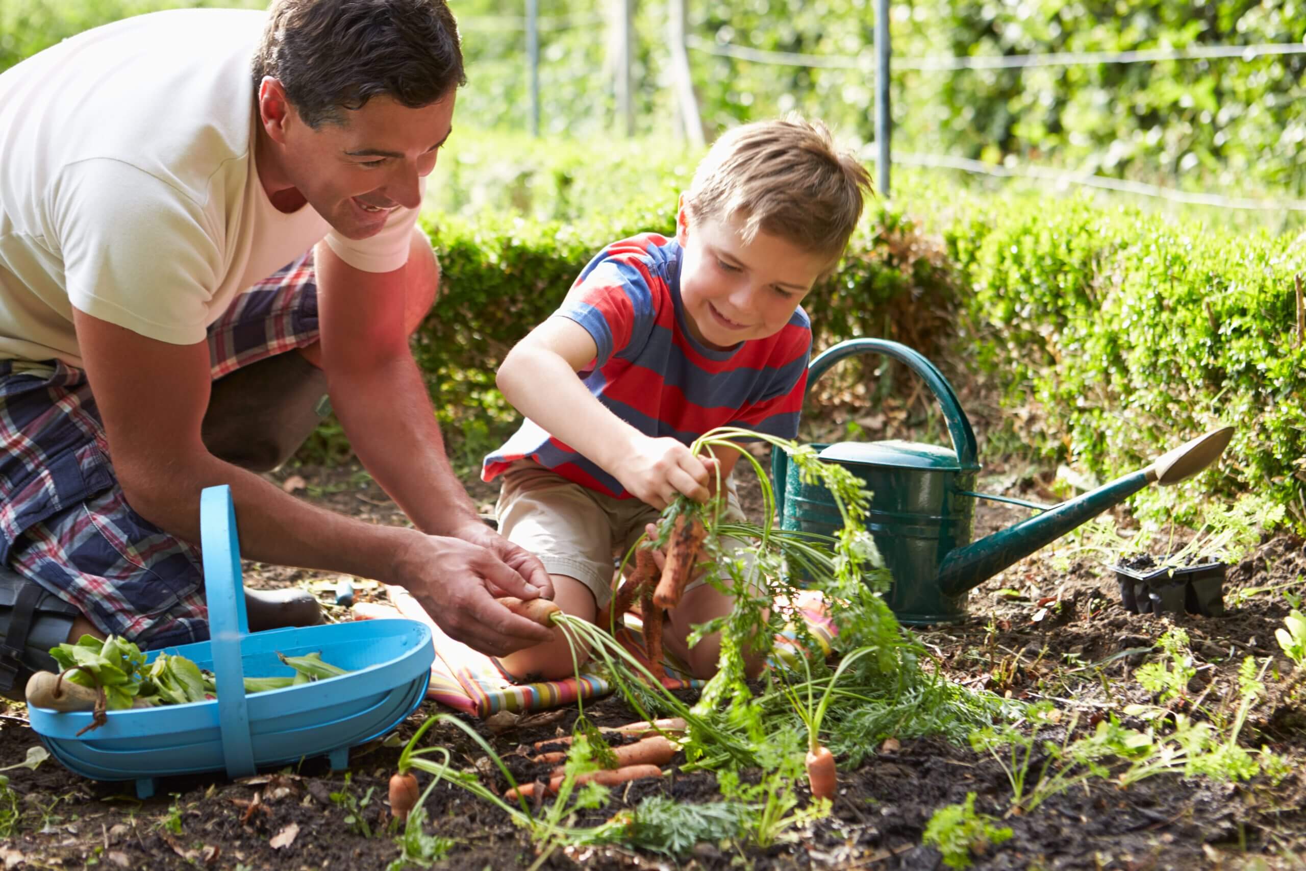 family gardening in the backyard