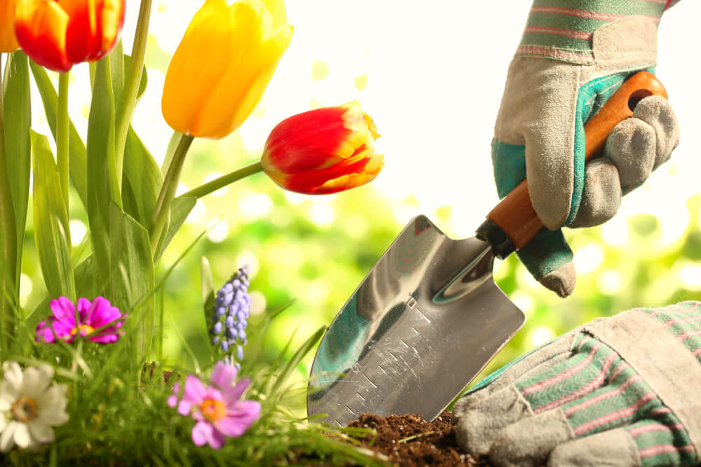 preparing for spring yard gardening with mulch and compost